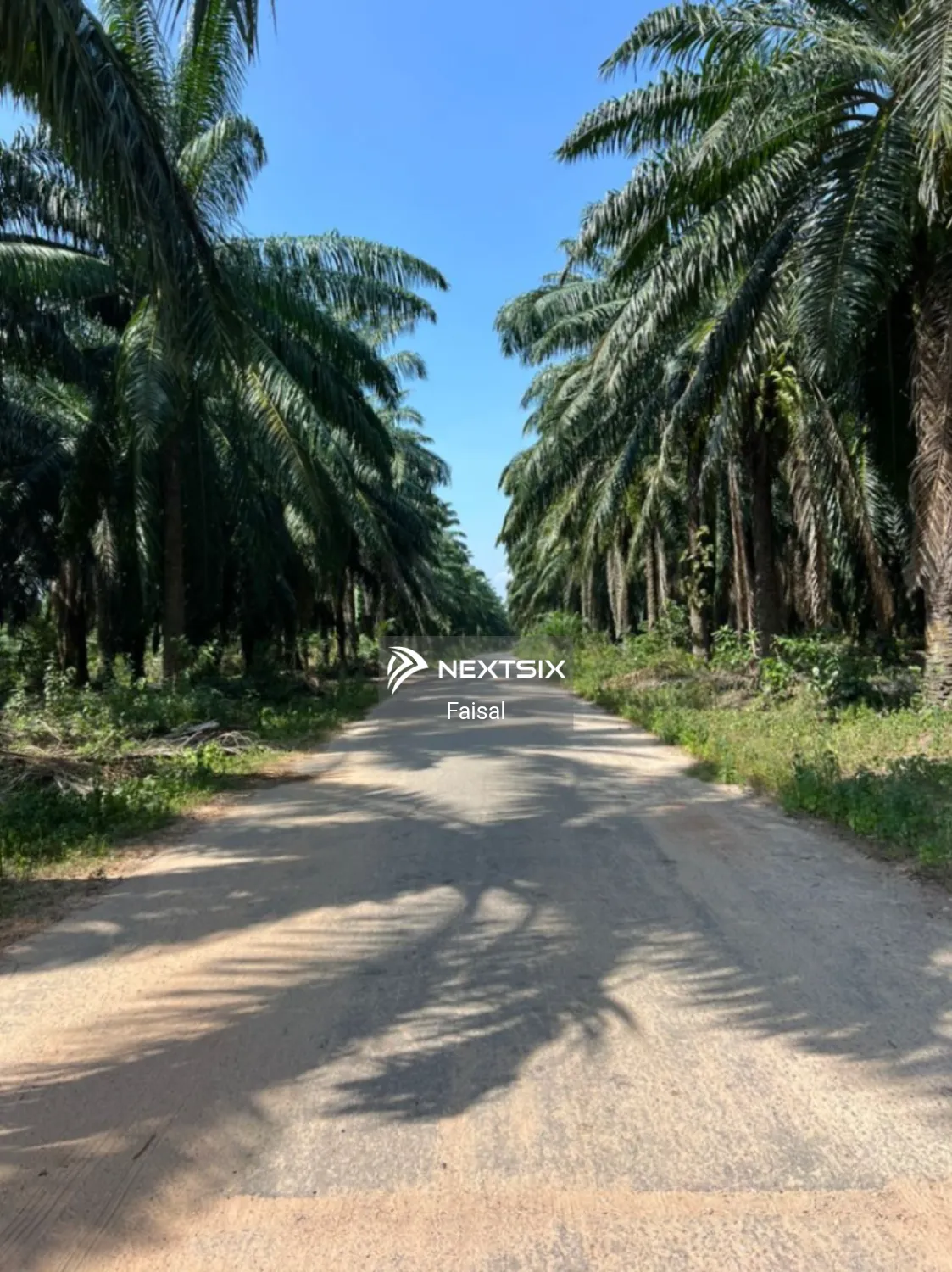 Agricultural Land For Sale in Sungai Petani Kedah