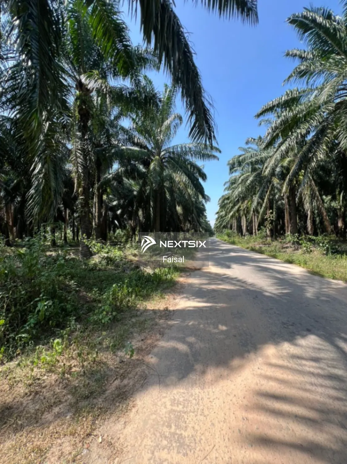 Agricultural Land For Sale in Sungai Petani Kedah - Image 5