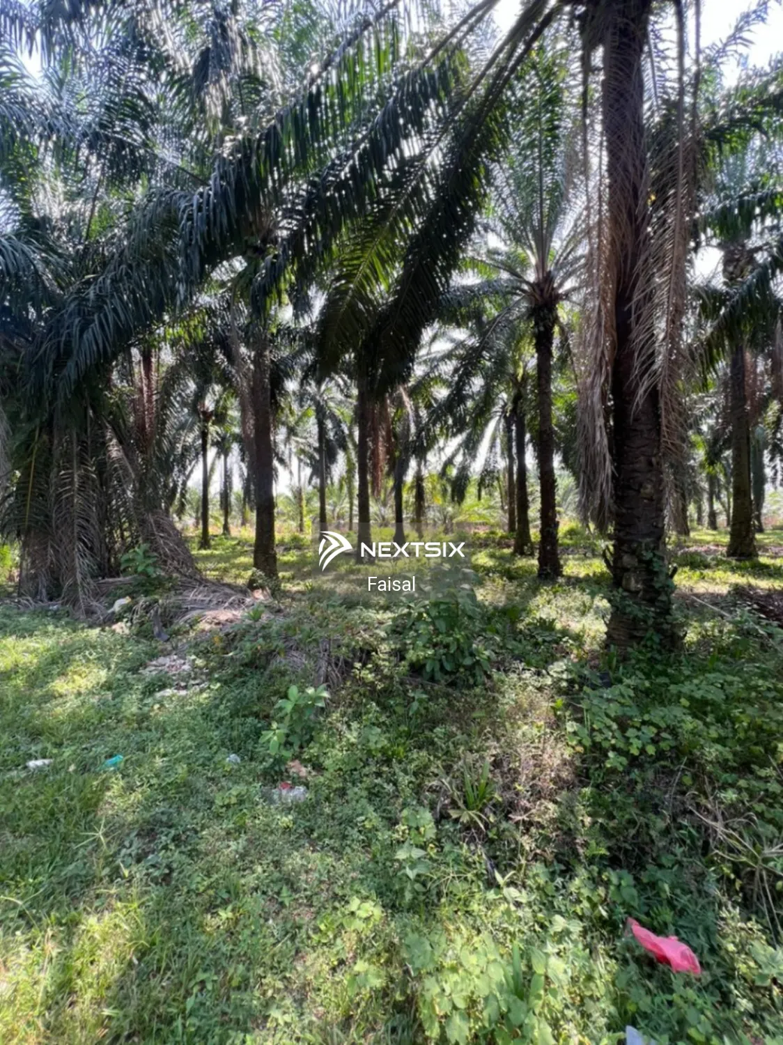 Agricultural Land For Sale in Sungai Petani Kedah - Image 8