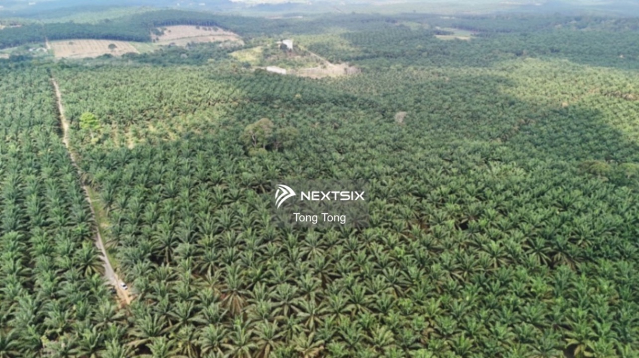 Agricultural Land For Sale in Kota Tinggi Johor