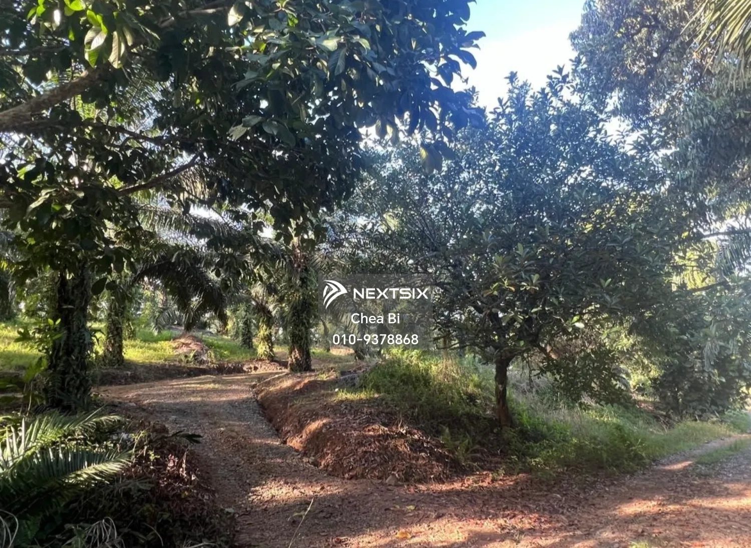 Agricultural Land For Sale in Tawau Sabah