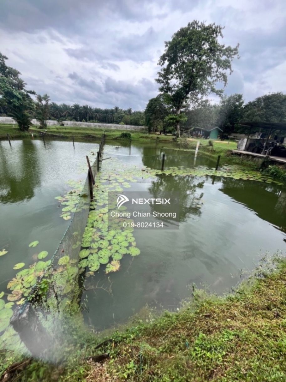 Agricultural Land For Sale in Masai Johor - Image 5