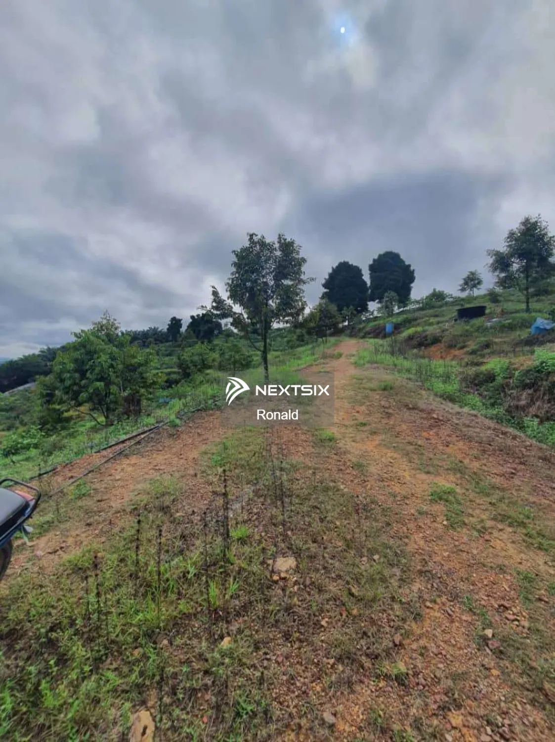 Agricultural Land For Sale in Sabai Pahang