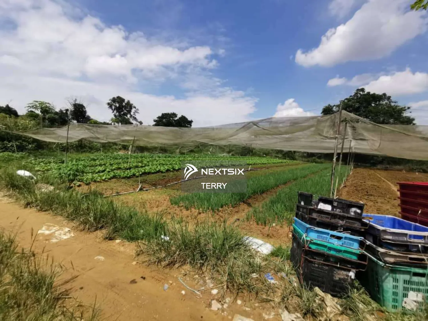 Agricultural Land For Sale in Perling Johor