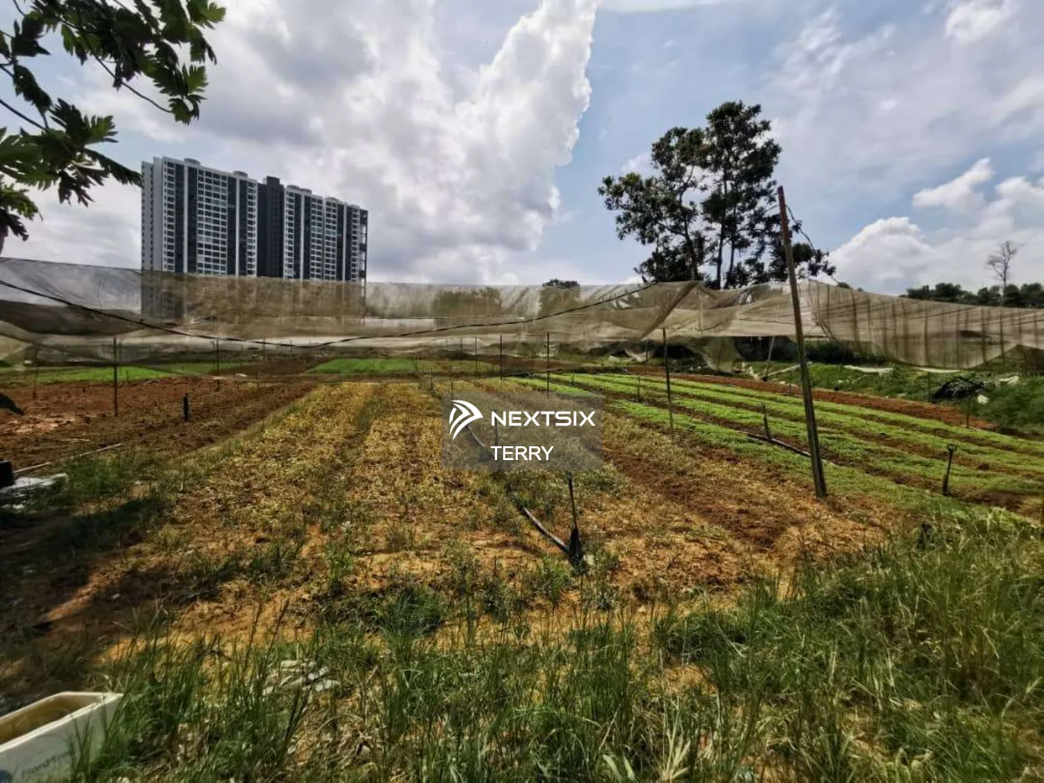 Agricultural Land For Sale in Perling Johor - Image 10