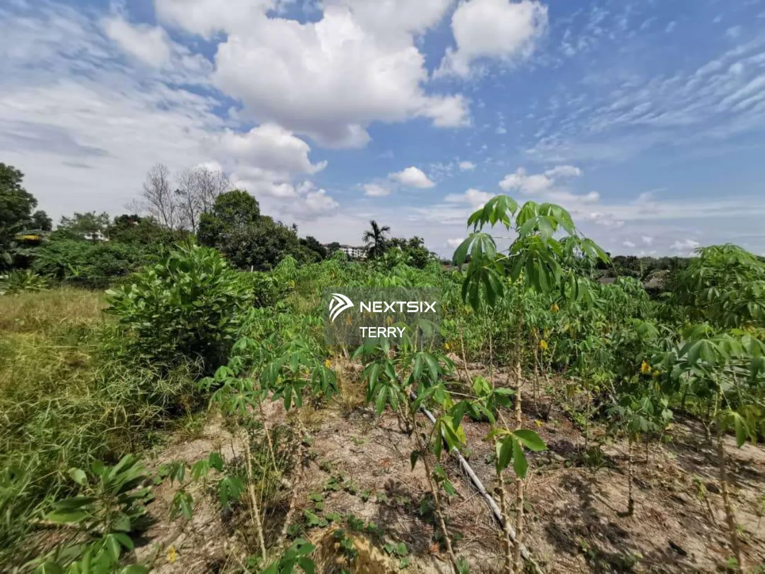 Agricultural Land For Sale in Perling Johor - Image 11