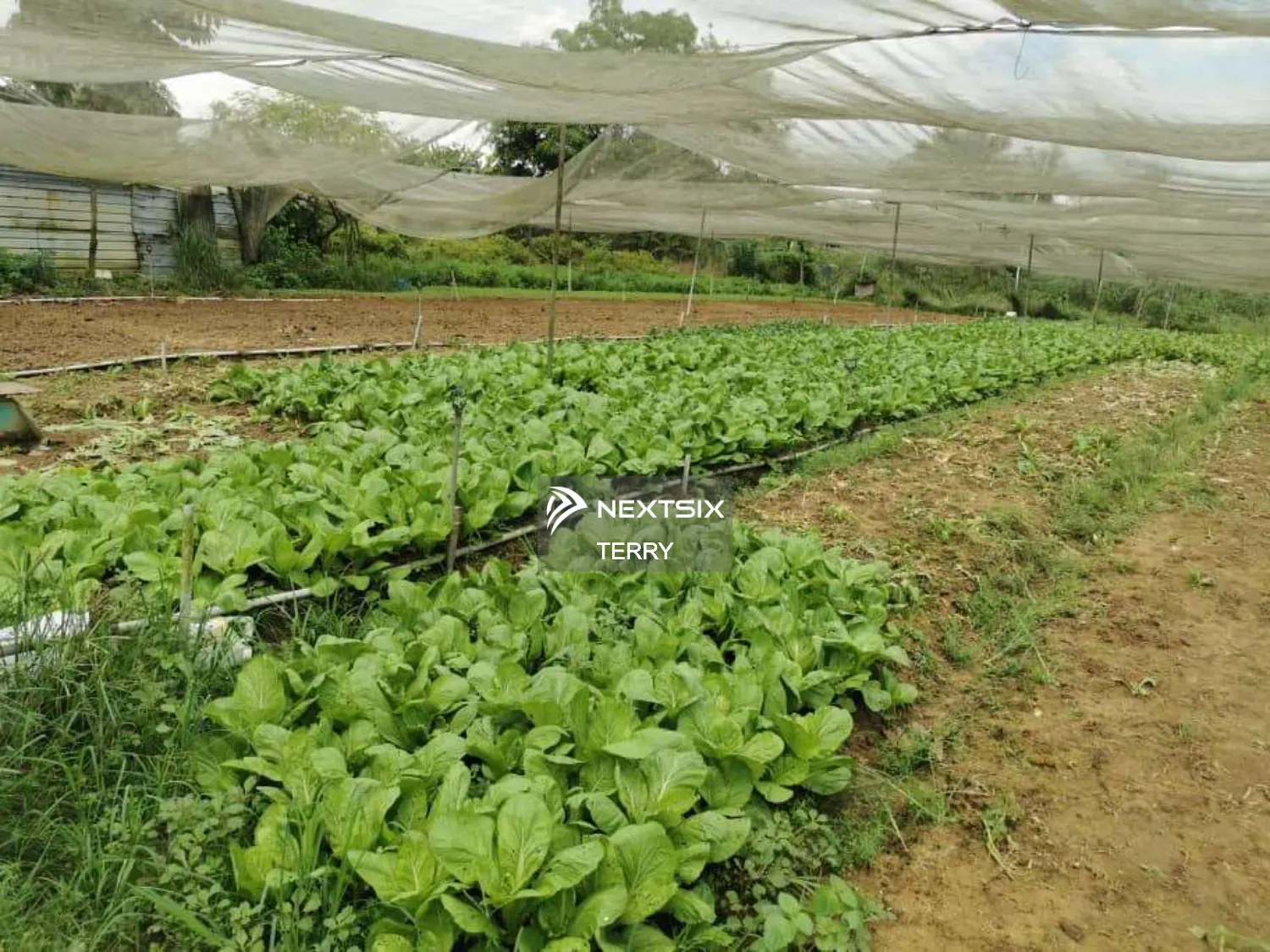 Agricultural Land For Sale in Perling Johor - Image 12
