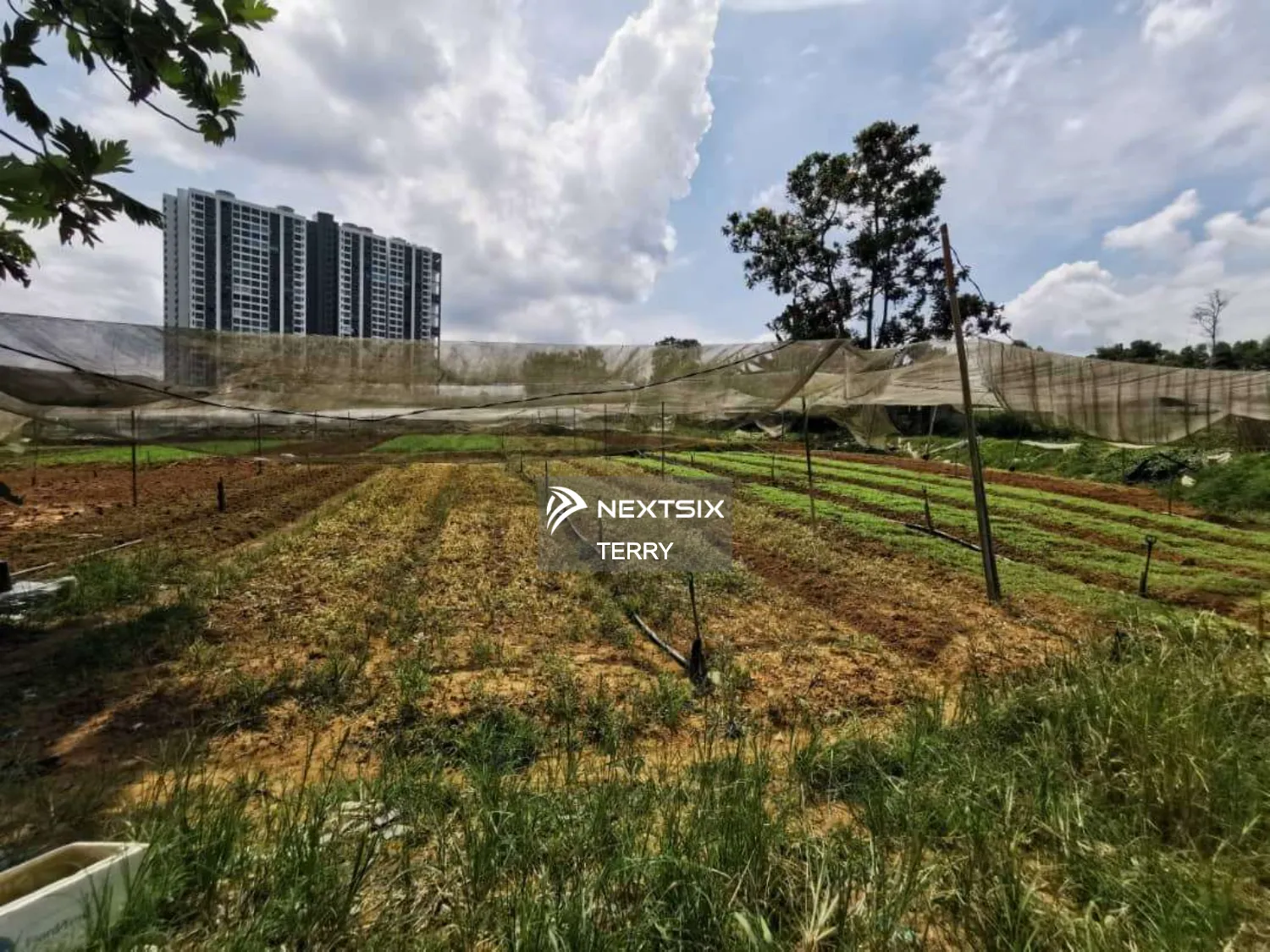 Agricultural Land For Sale in Perling Johor - Image 13