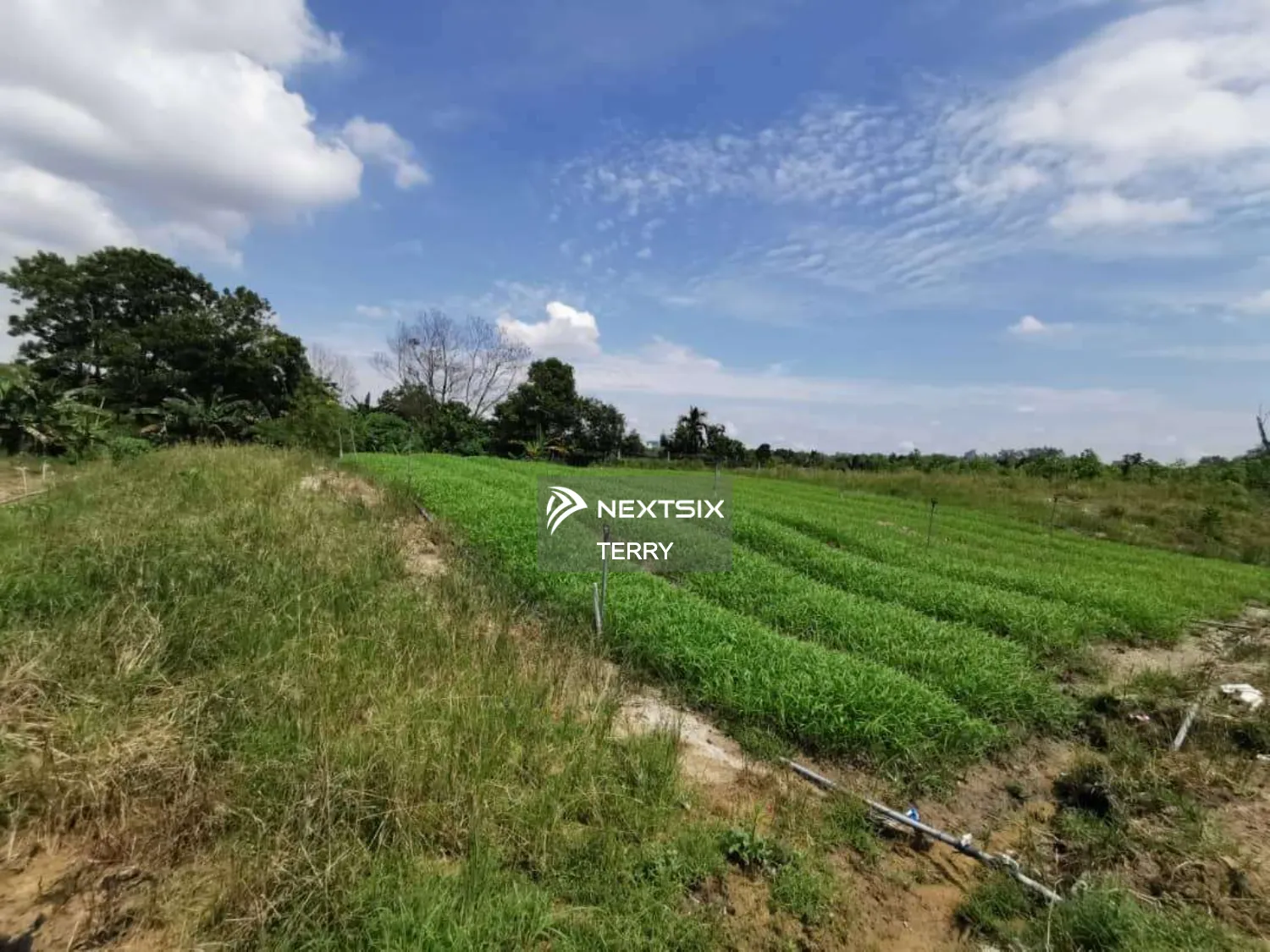 Agricultural Land For Sale in Perling Johor - Image 5