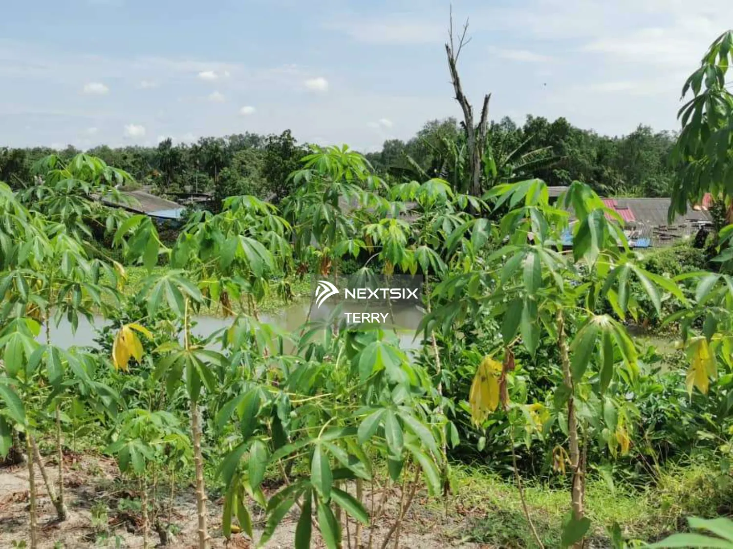 Agricultural Land For Sale in Perling Johor - Image 8