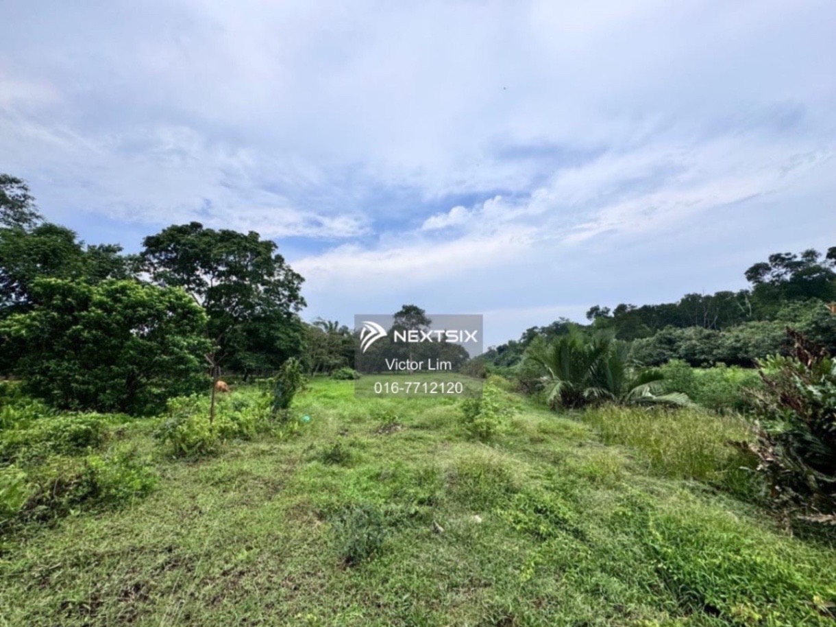 Agricultural Land For Sale in Pontian Johor