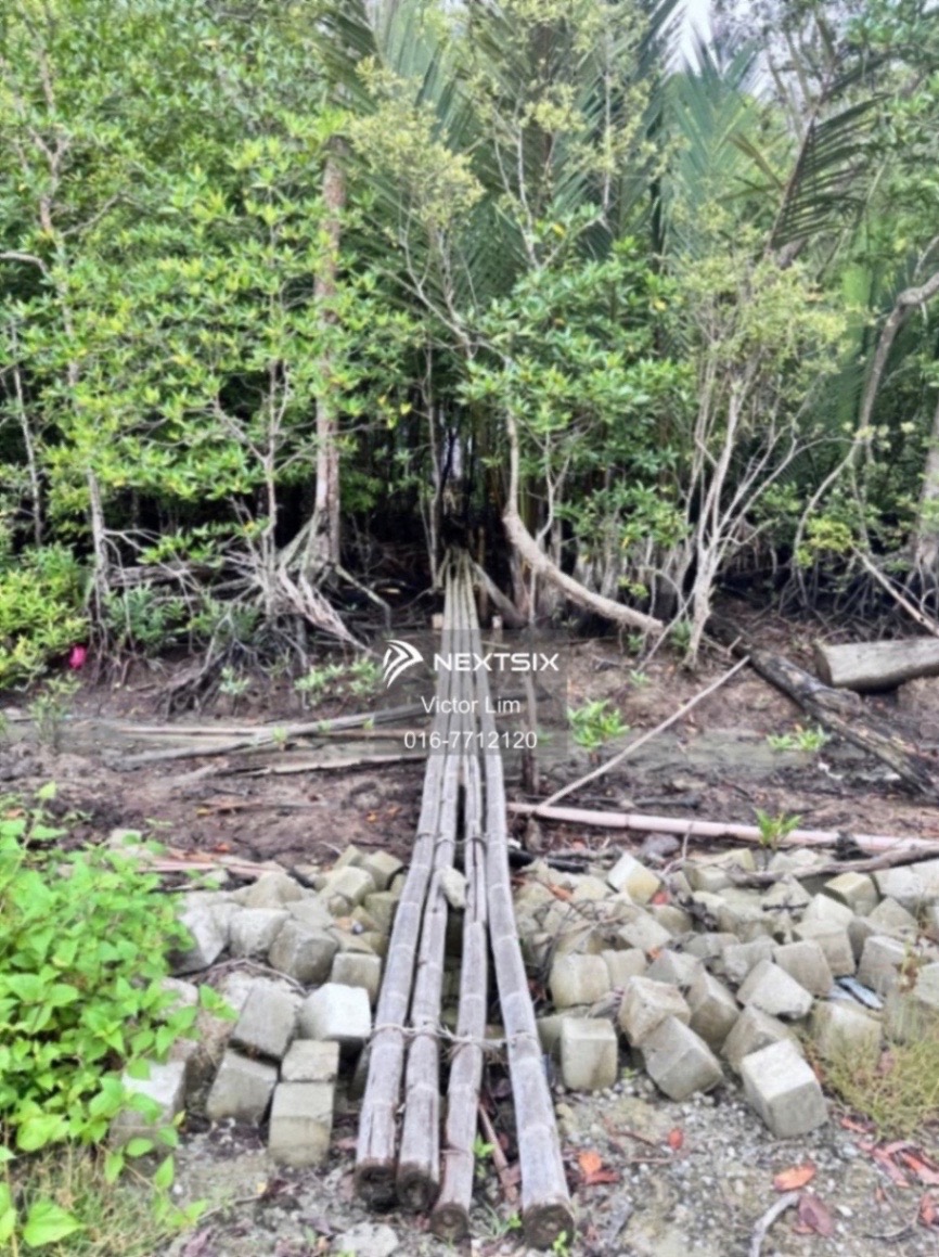 Agricultural Land For Sale in Pontian Johor - Image 10