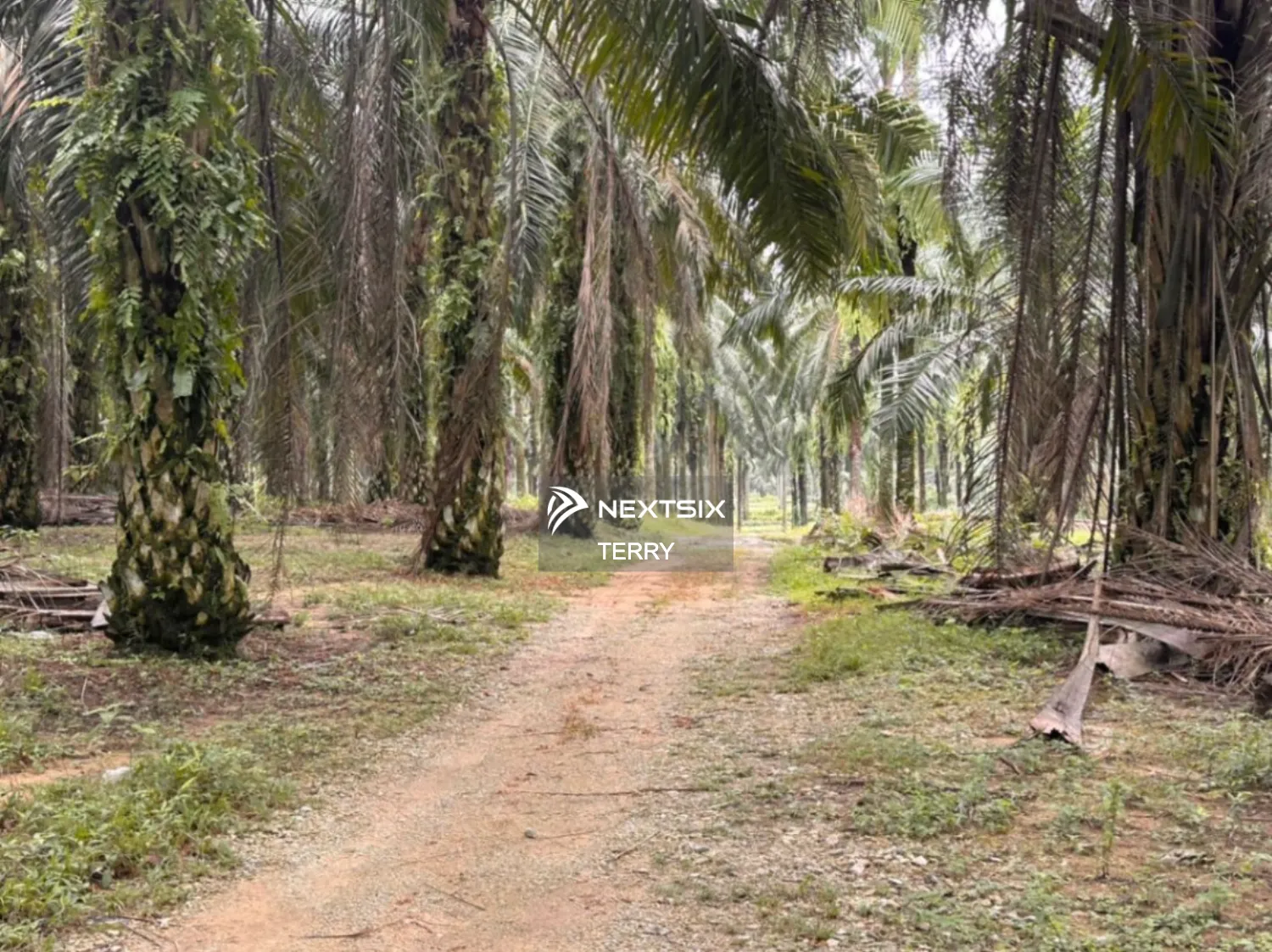 Agricultural Land For Sale in Senai Johor