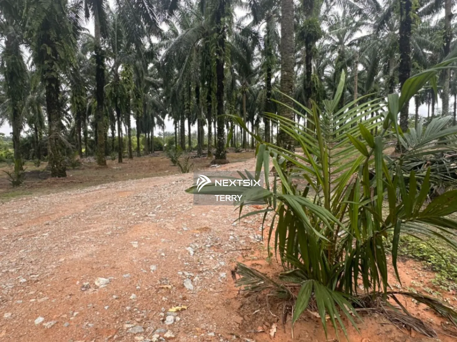 Agricultural Land For Sale in Senai Johor - Image 10