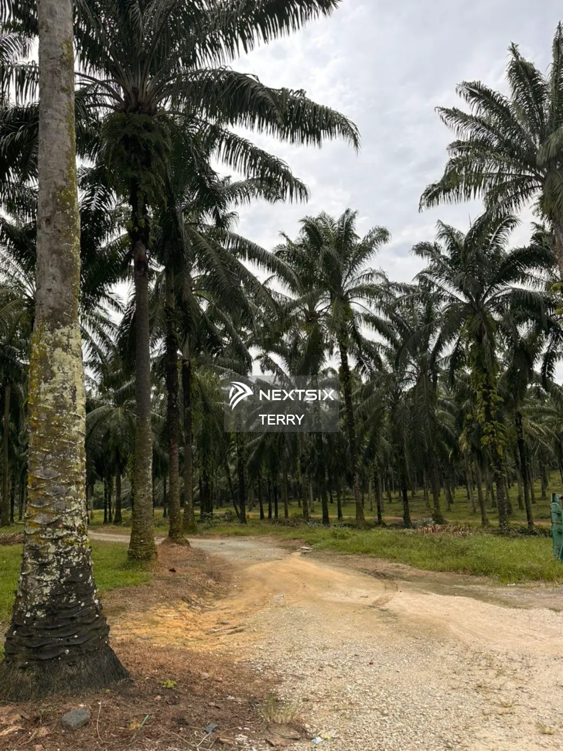 Agricultural Land For Sale in Senai Johor - Image 11