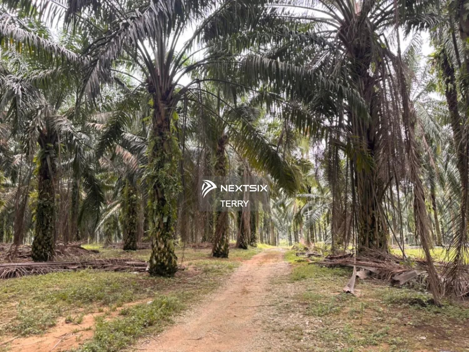 Agricultural Land For Sale in Senai Johor - Image 12