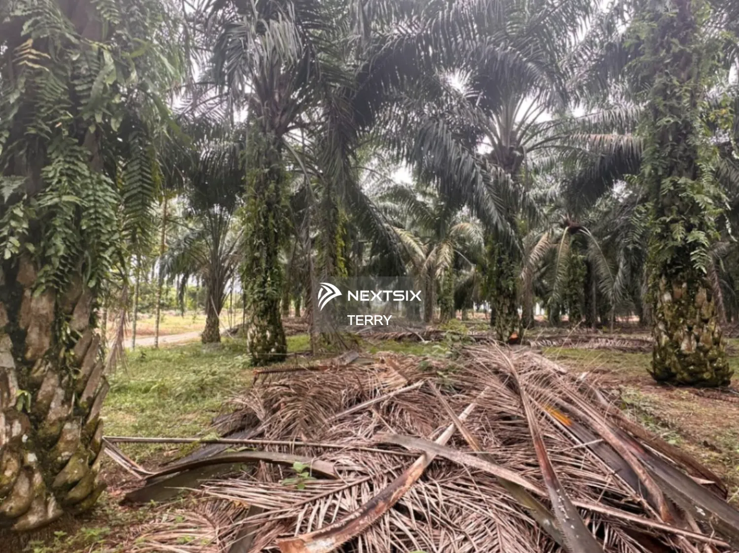 Agricultural Land For Sale in Senai Johor - Image 13