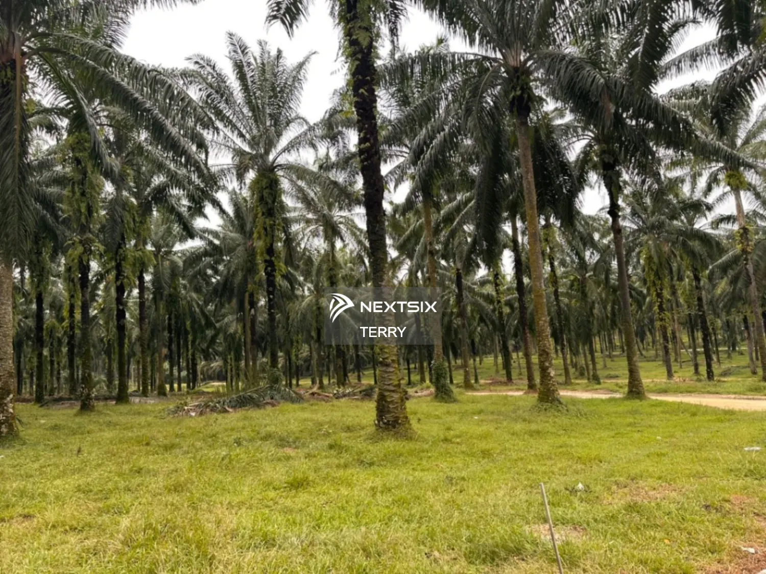 Agricultural Land For Sale in Senai Johor - Image 7