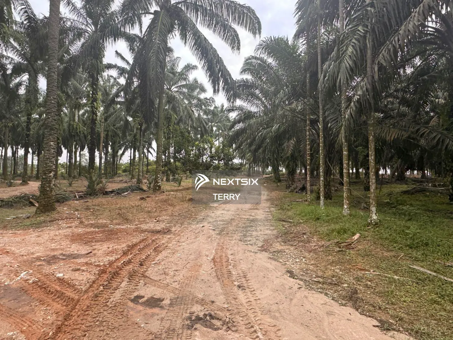 Agricultural Land For Sale in Senai Johor - Image 8