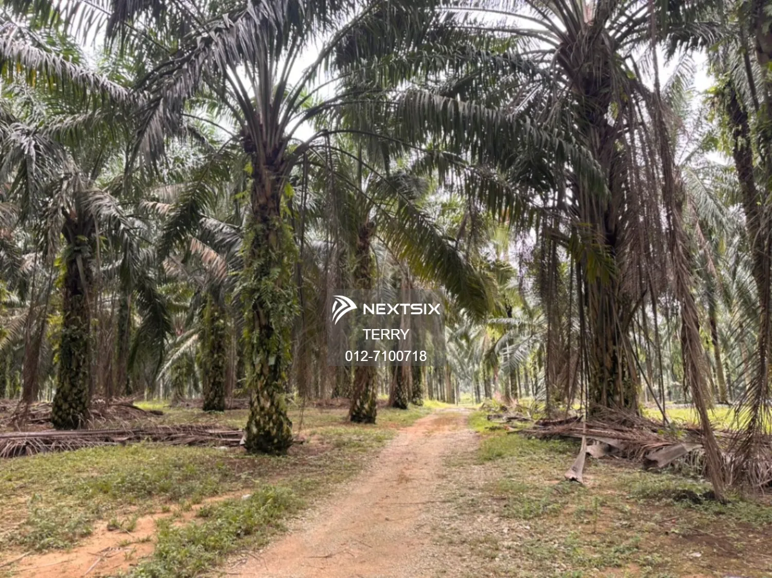 Agricultural Land For Sale in Senai Johor