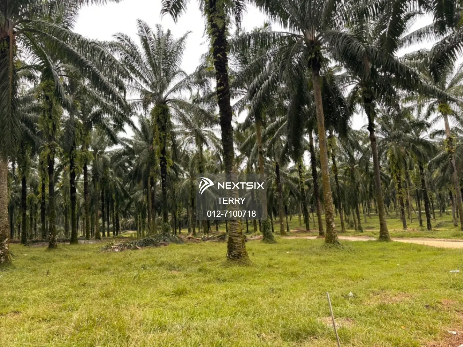 Agricultural Land For Sale in Senai Johor - Image 10