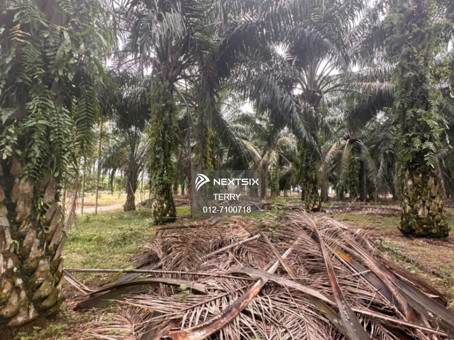 Agricultural Land For Sale in Senai Johor - Image 13