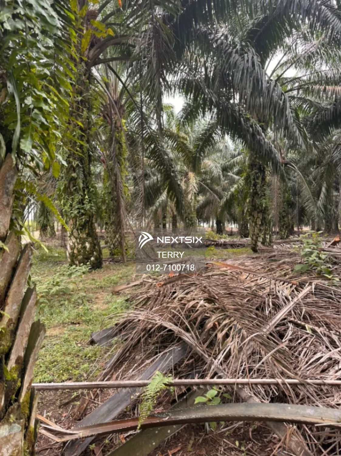 Agricultural Land For Sale in Senai Johor - Image 14