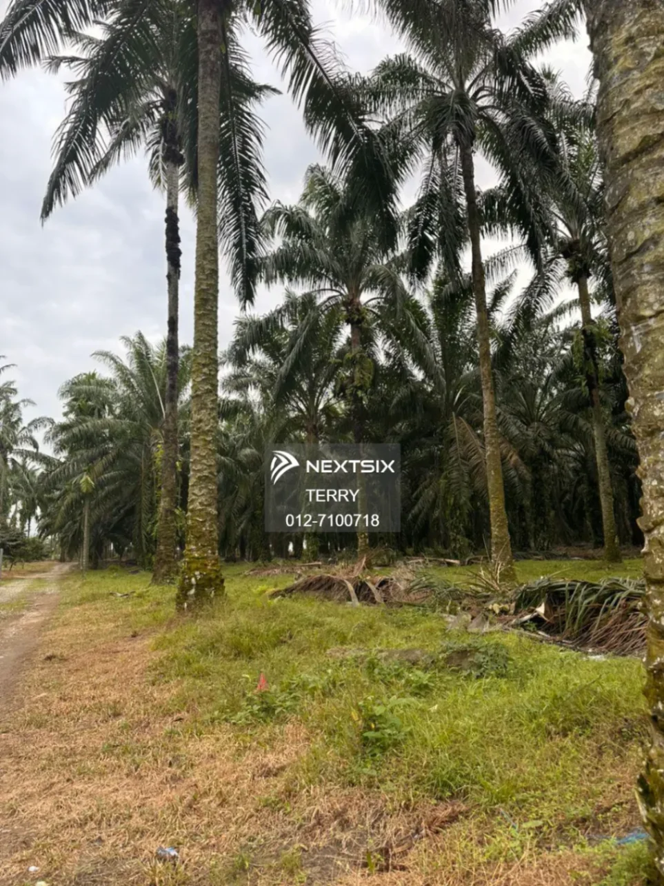 Agricultural Land For Sale in Senai Johor - Image 5