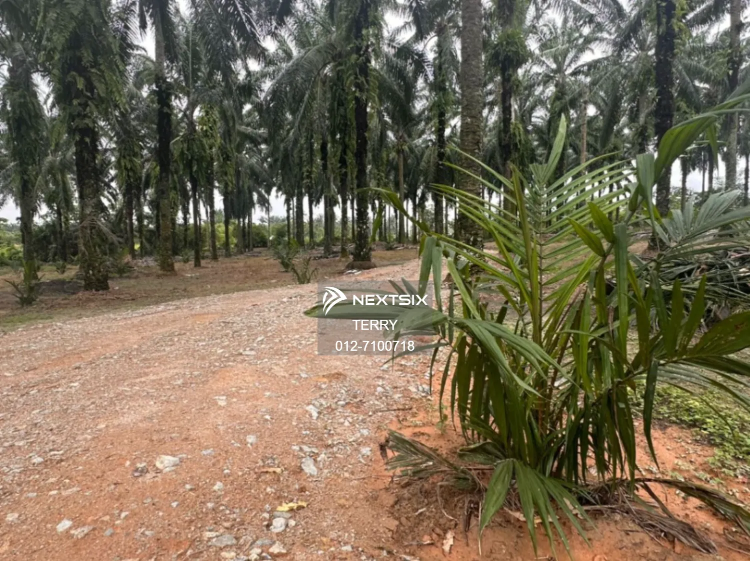 Agricultural Land For Sale in Senai Johor - Image 7