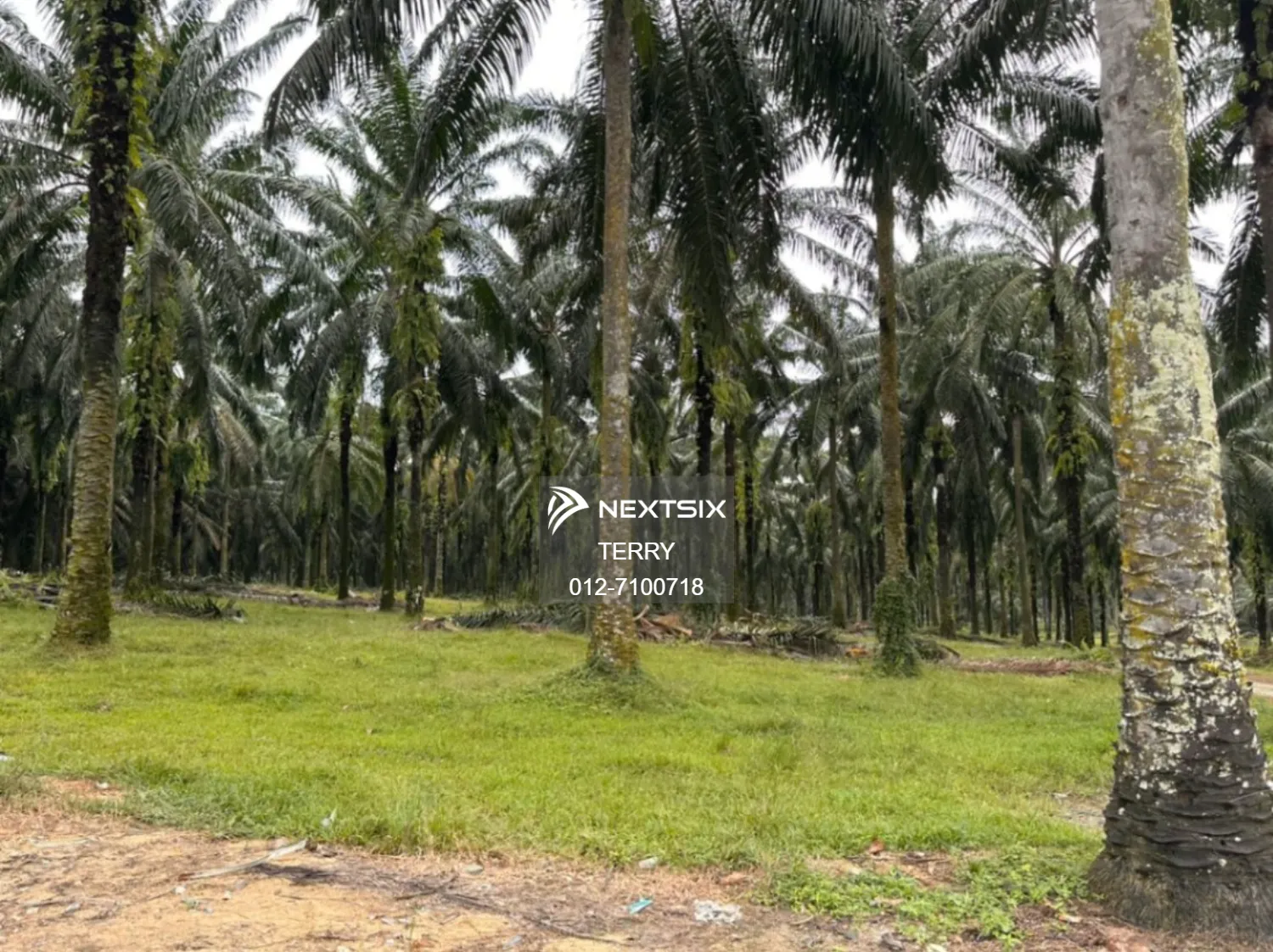 Agricultural Land For Sale in Senai Johor - Image 9