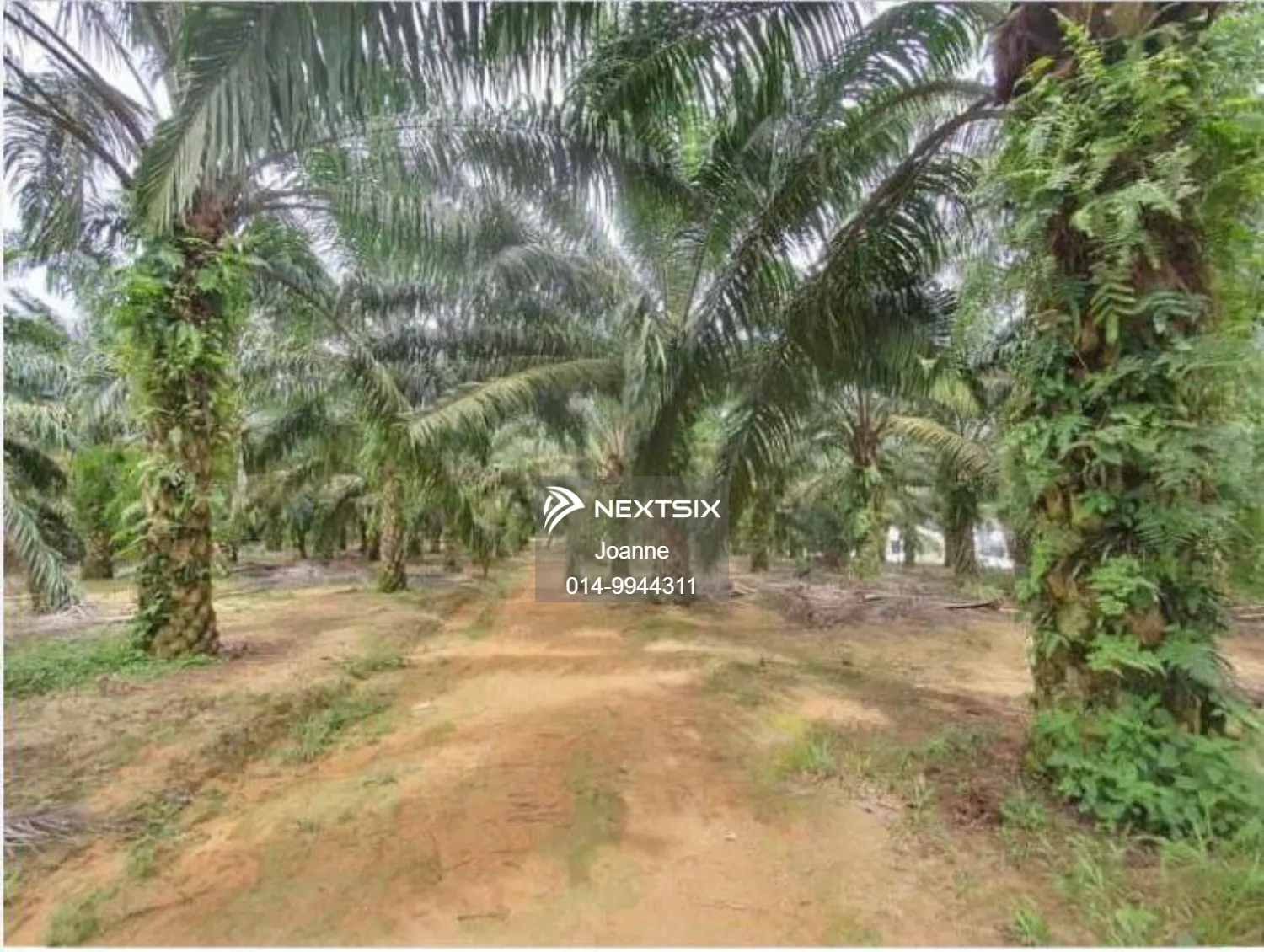 Residential Land For Sale in Kluang Johor - Image 2