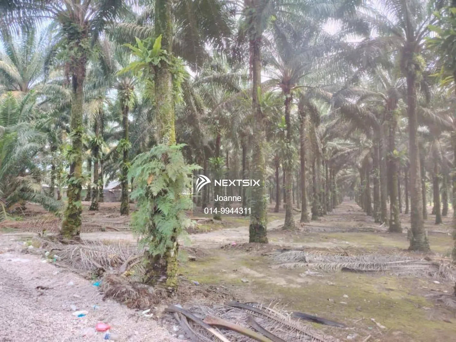 Industrial Land For Sale in Pekan Nanas Johor