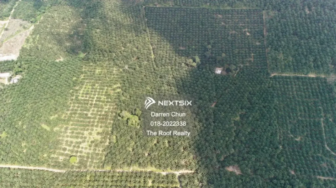 Agricultural Land For Sale in Kota Tinggi Johor