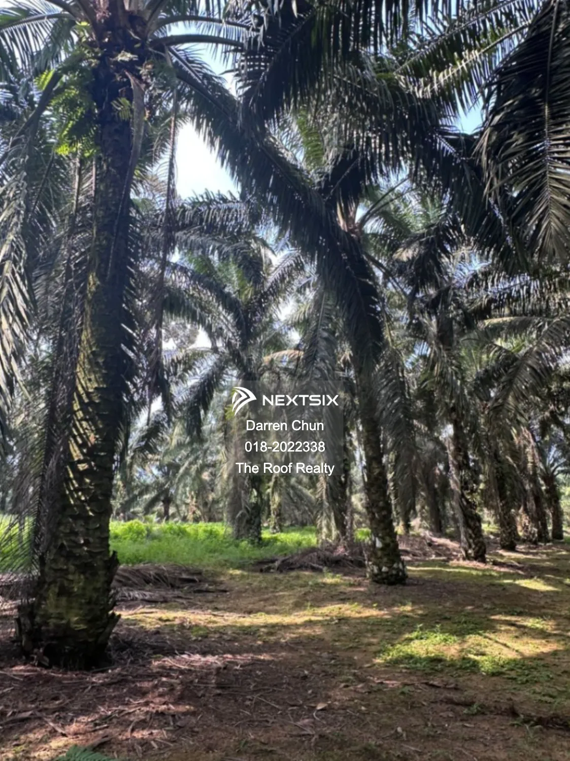 Agricultural Land For Sale in Kota Tinggi Johor - Image 11