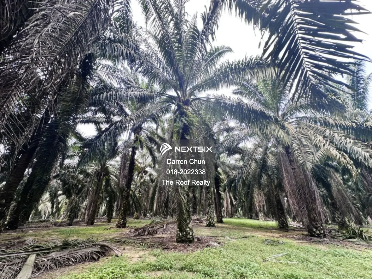 Agricultural Land For Sale in Kota Tinggi Johor - Image 2