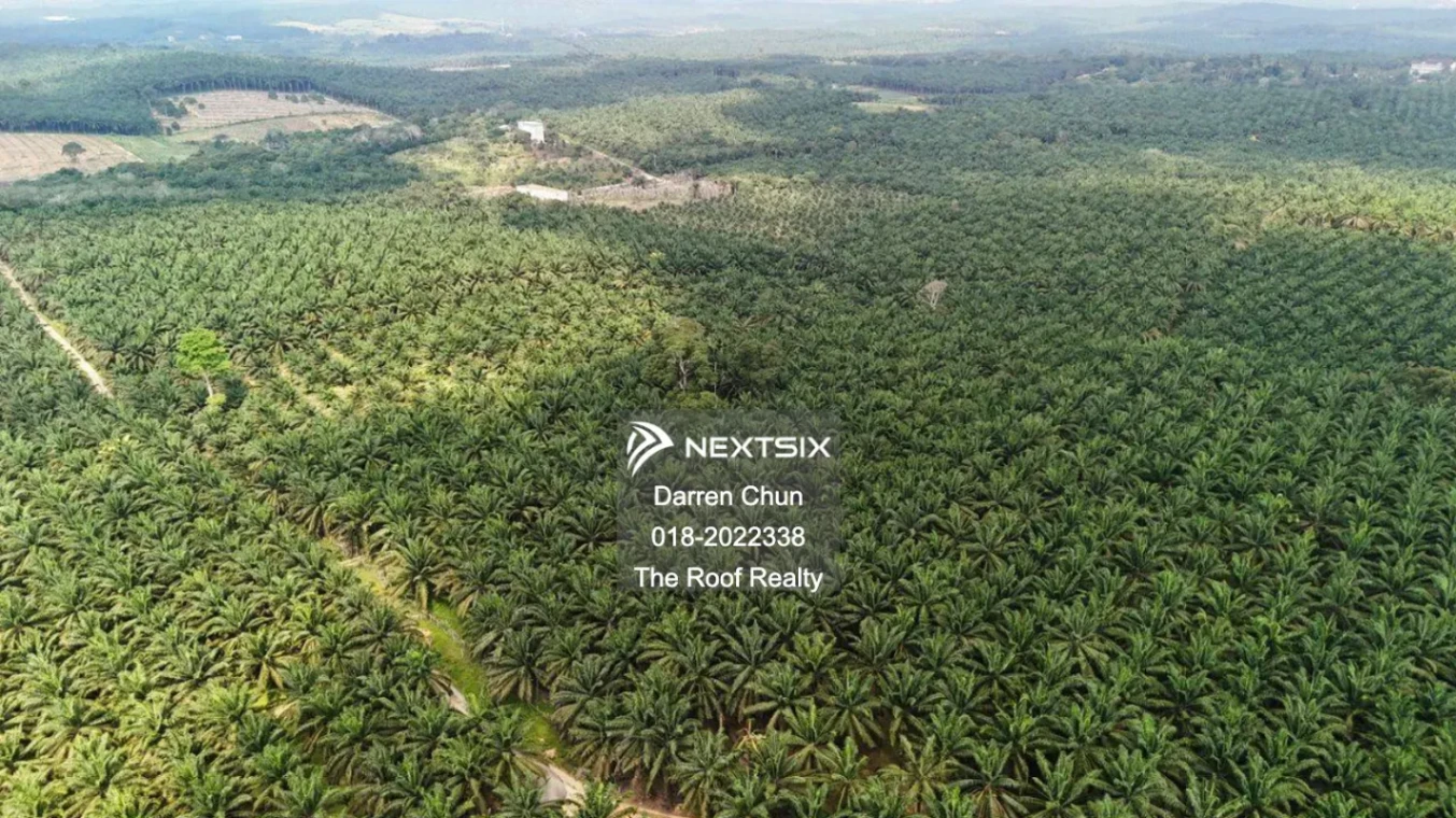 Agricultural Land For Sale in Kota Tinggi Johor - Image 6