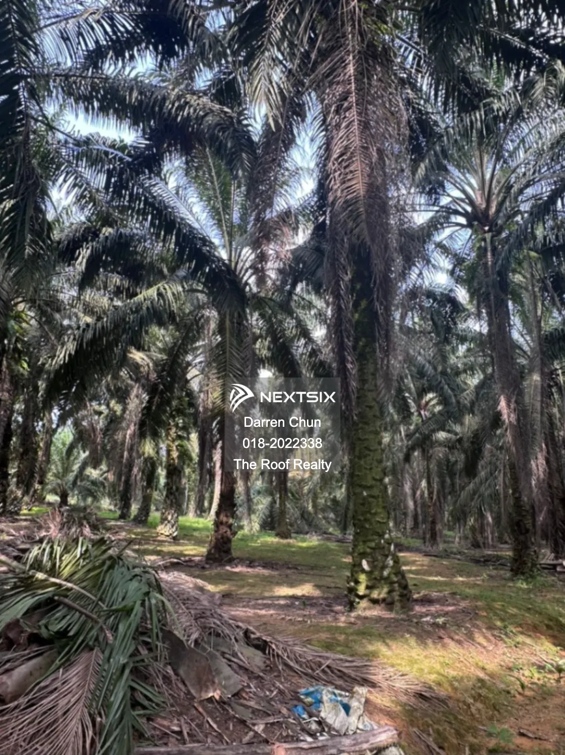 Agricultural Land For Sale in Kota Tinggi Johor - Image 9