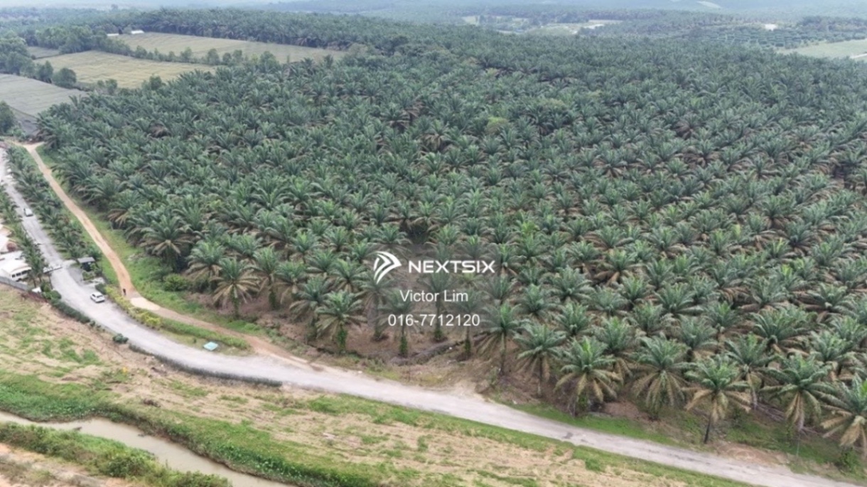 Agricultural Land For Sale in Kulai Johor - Image 2