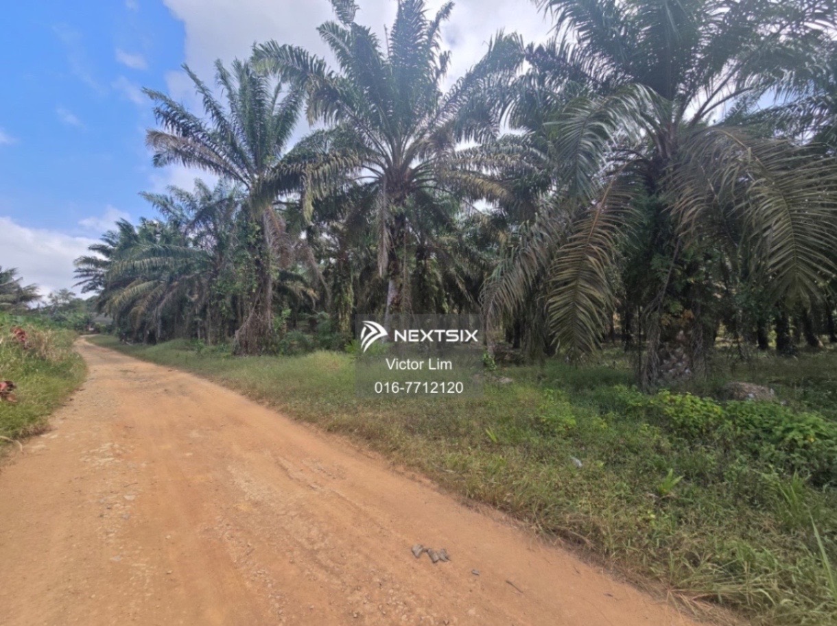 Agricultural Land For Sale in Kulai Johor - Image 3