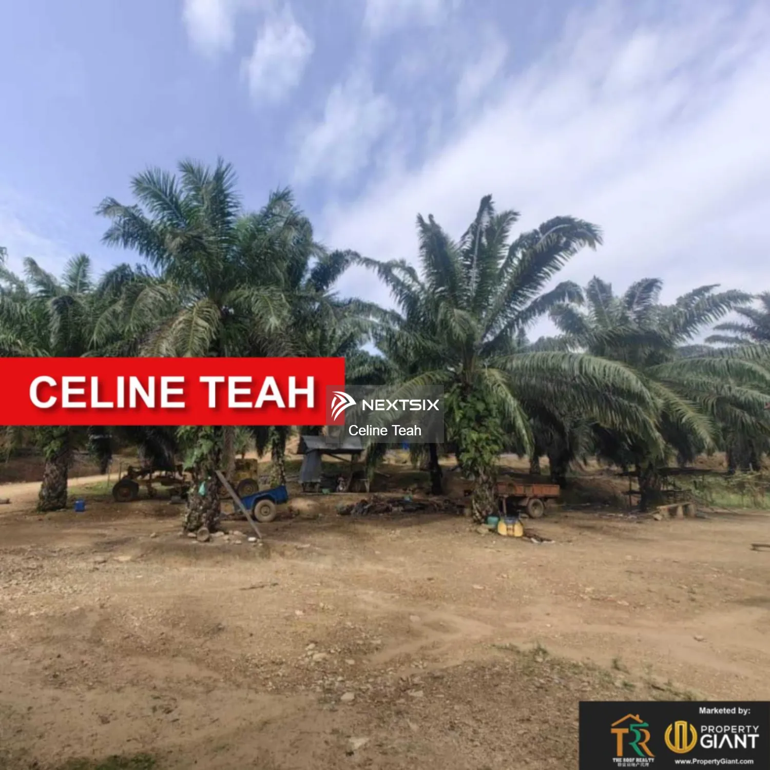 Agricultural Land For Sale in Kota Marudu Sabah