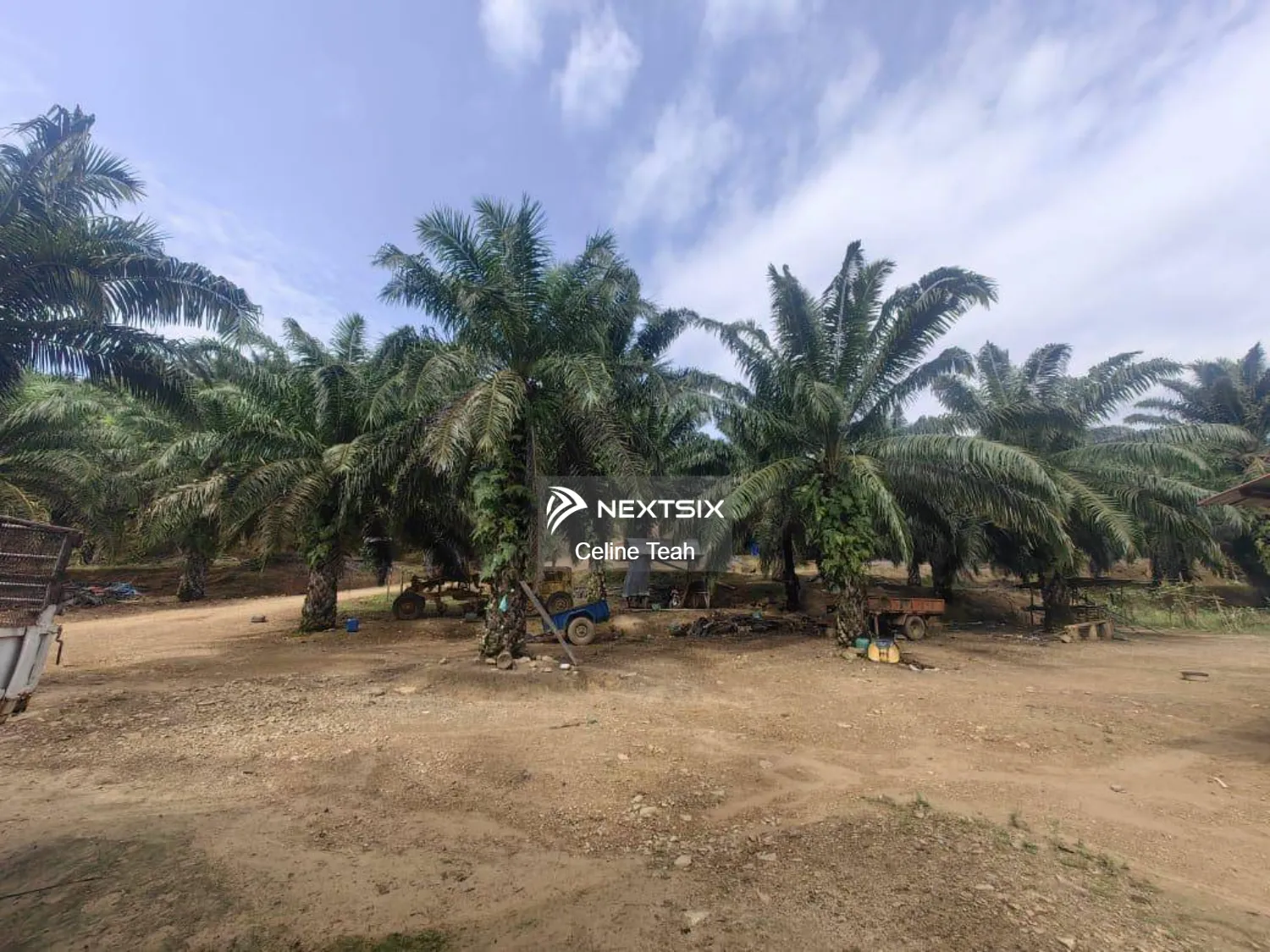 Agricultural Land For Sale in Kota Marudu Sabah - Image 2