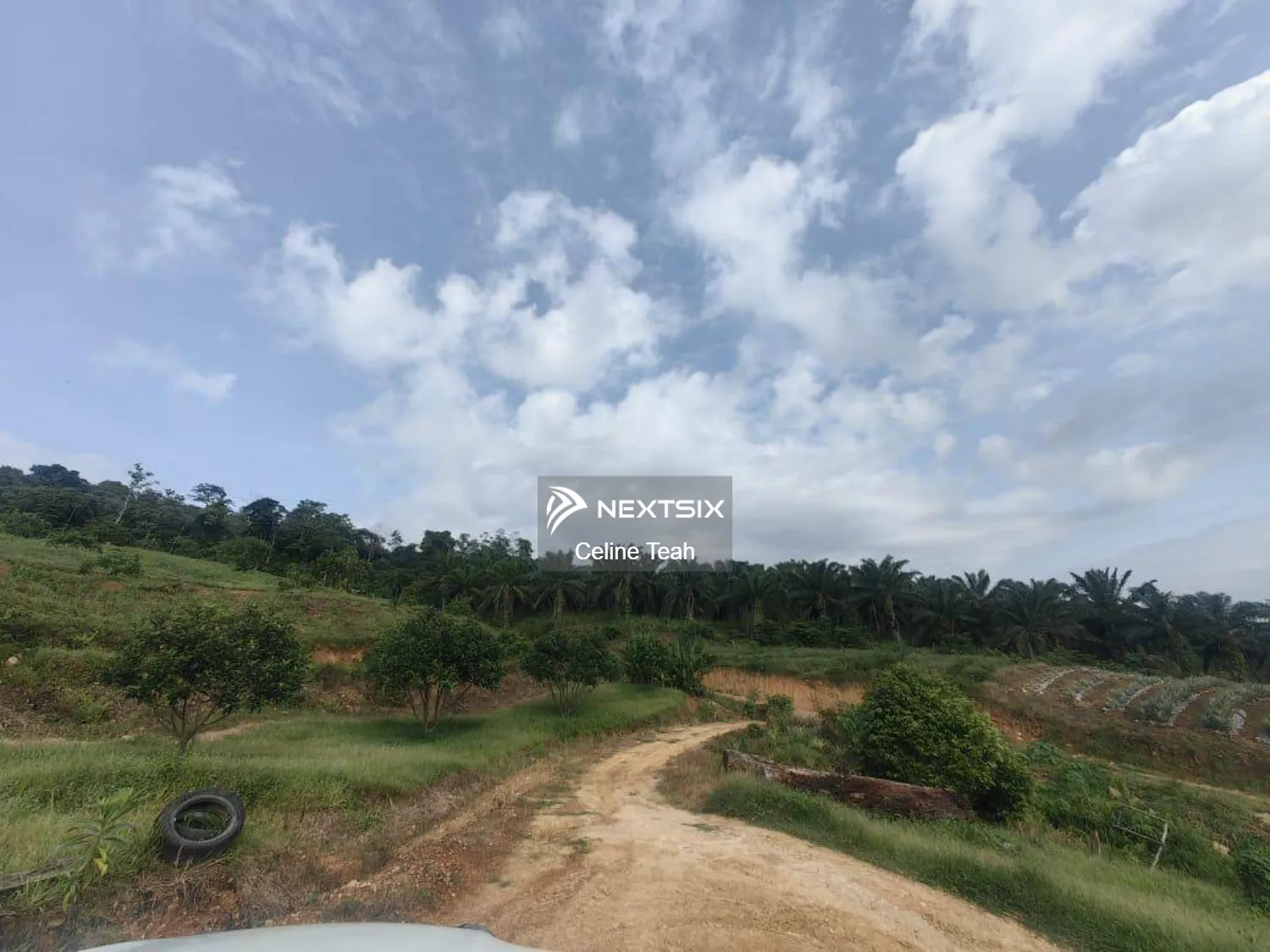 Agricultural Land For Sale in Kota Marudu Sabah - Image 4