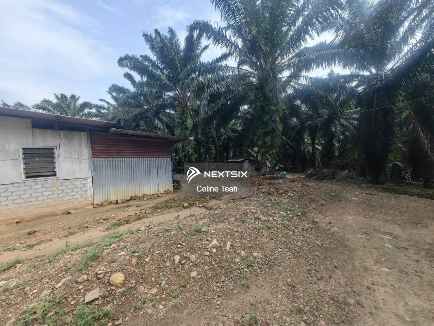 Agricultural Land For Sale in Kota Marudu Sabah - Image 5