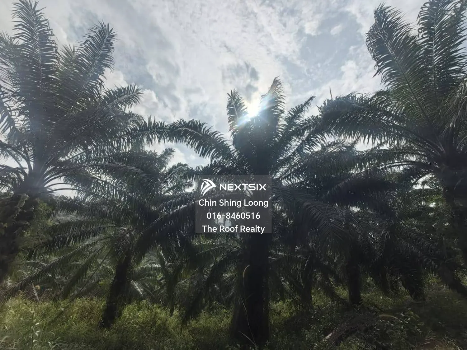 Agricultural Land For Sale in Kota Marudu Sabah - Image 3