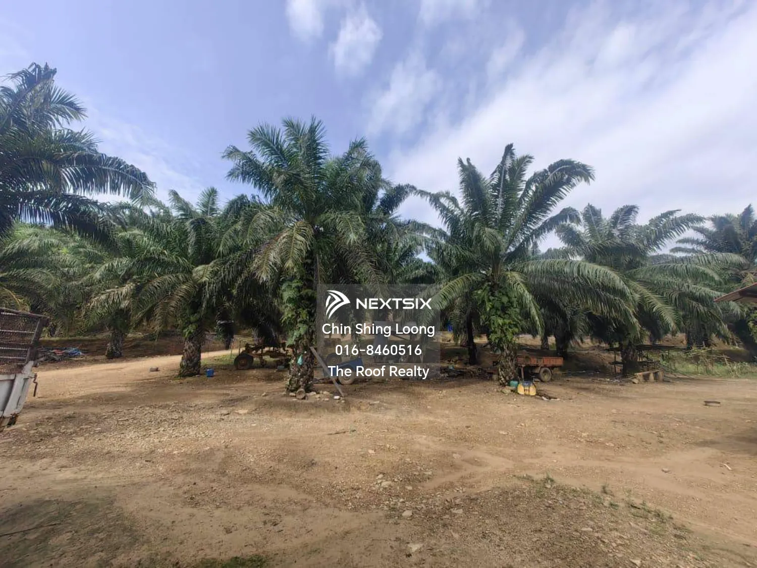 Agricultural Land For Sale in Kota Marudu Sabah - Image 4