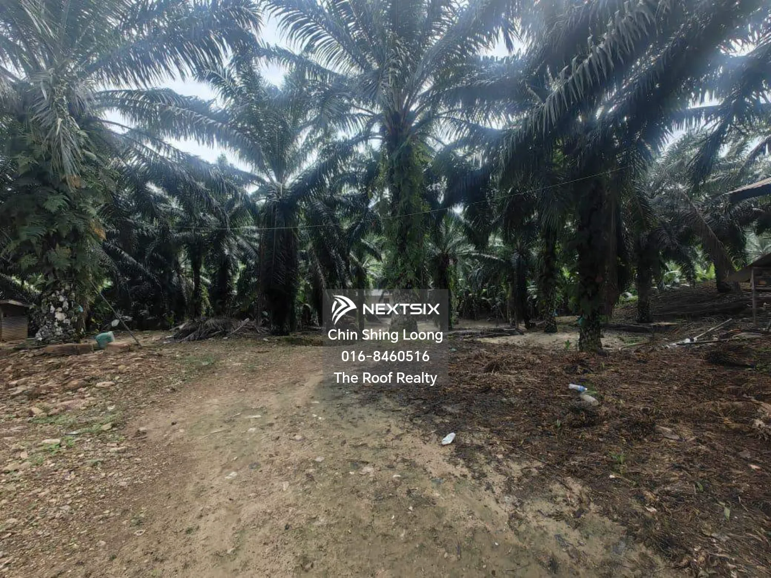 Agricultural Land For Sale in Kota Marudu Sabah - Image 5