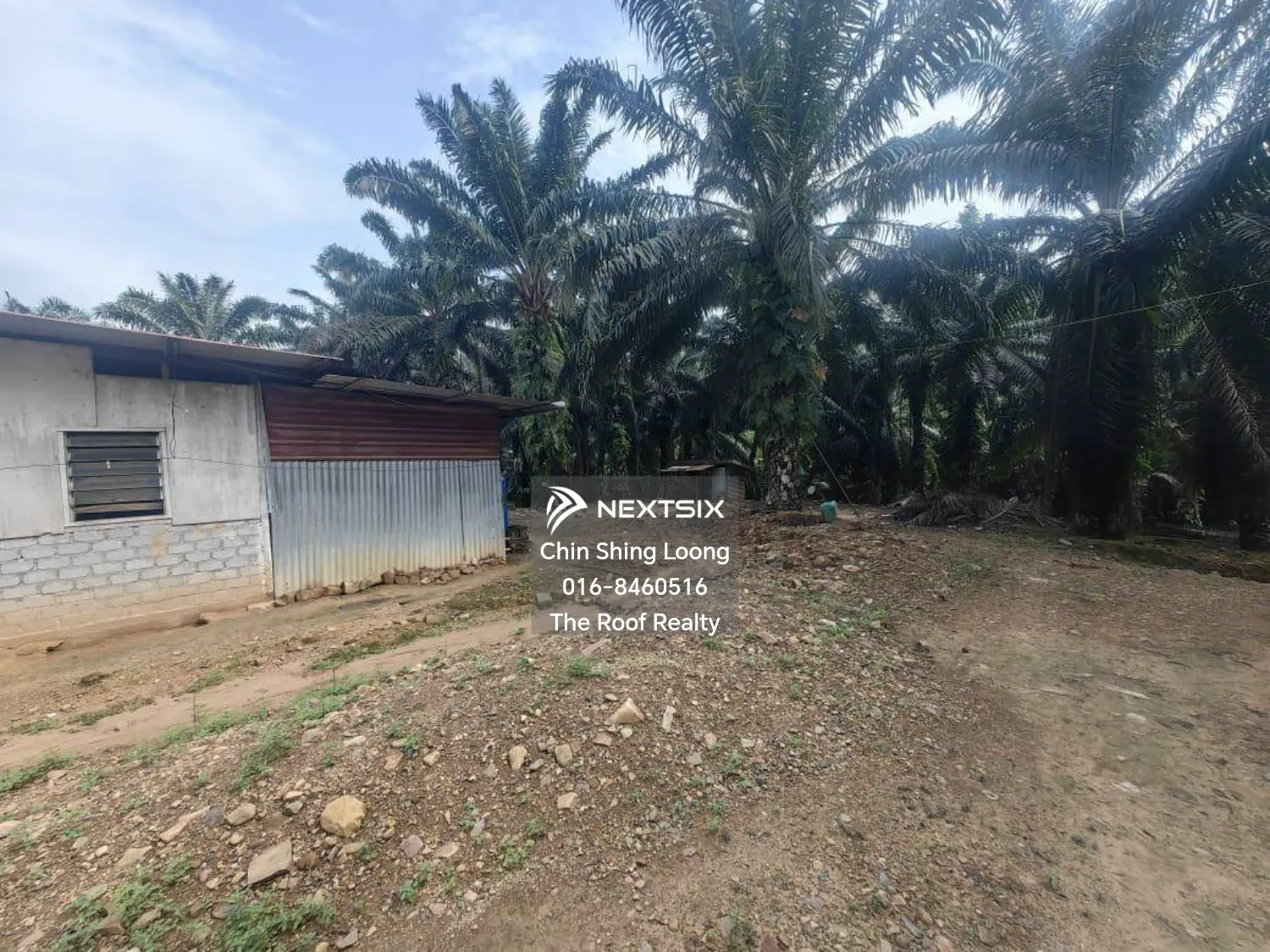 Agricultural Land For Sale in Kota Marudu Sabah - Image 6