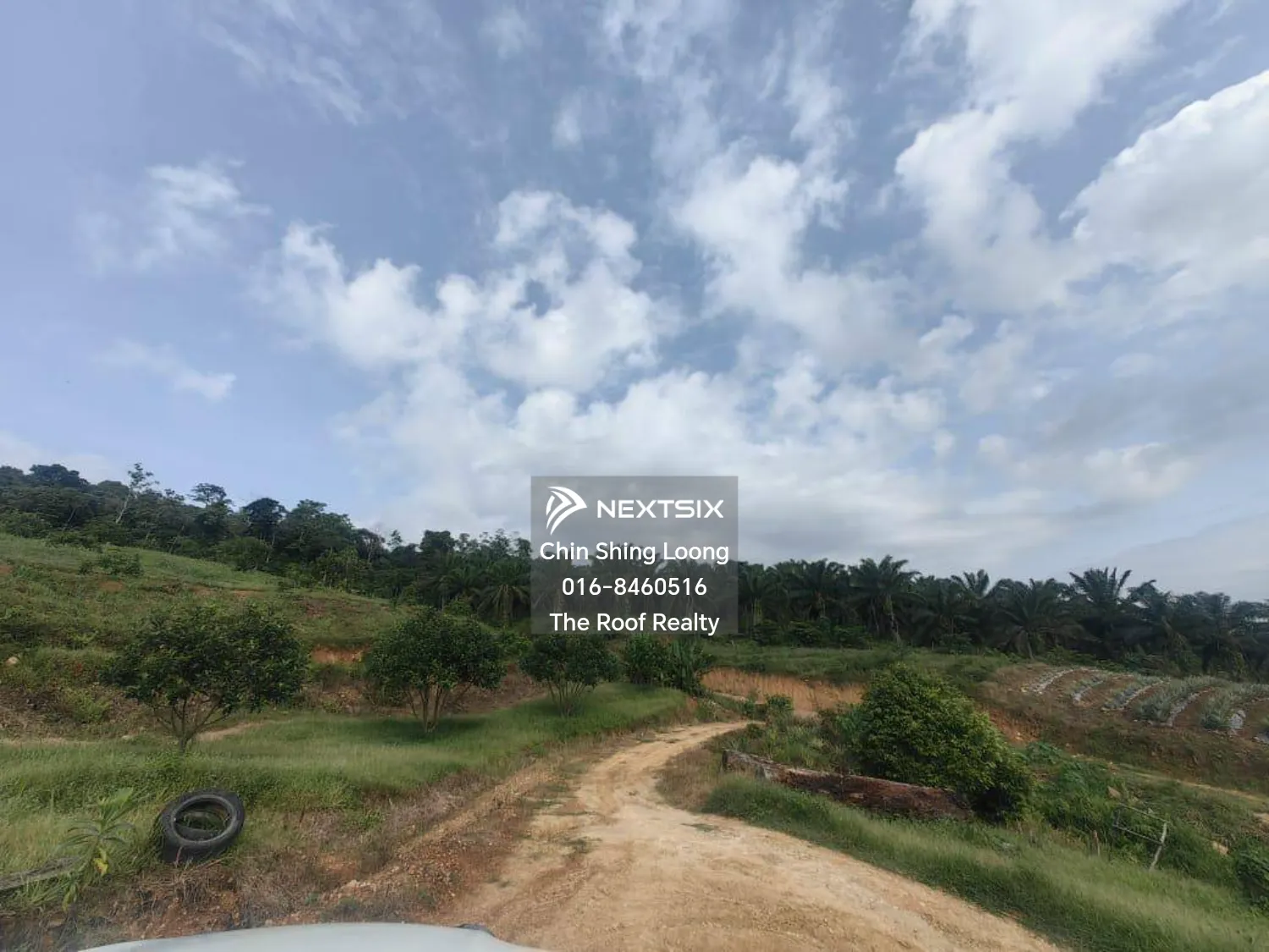 Agricultural Land For Sale in Kota Marudu Sabah - Image 7