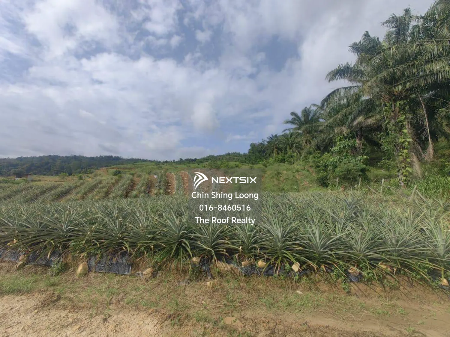 Agricultural Land For Sale in Kota Marudu Sabah - Image 9