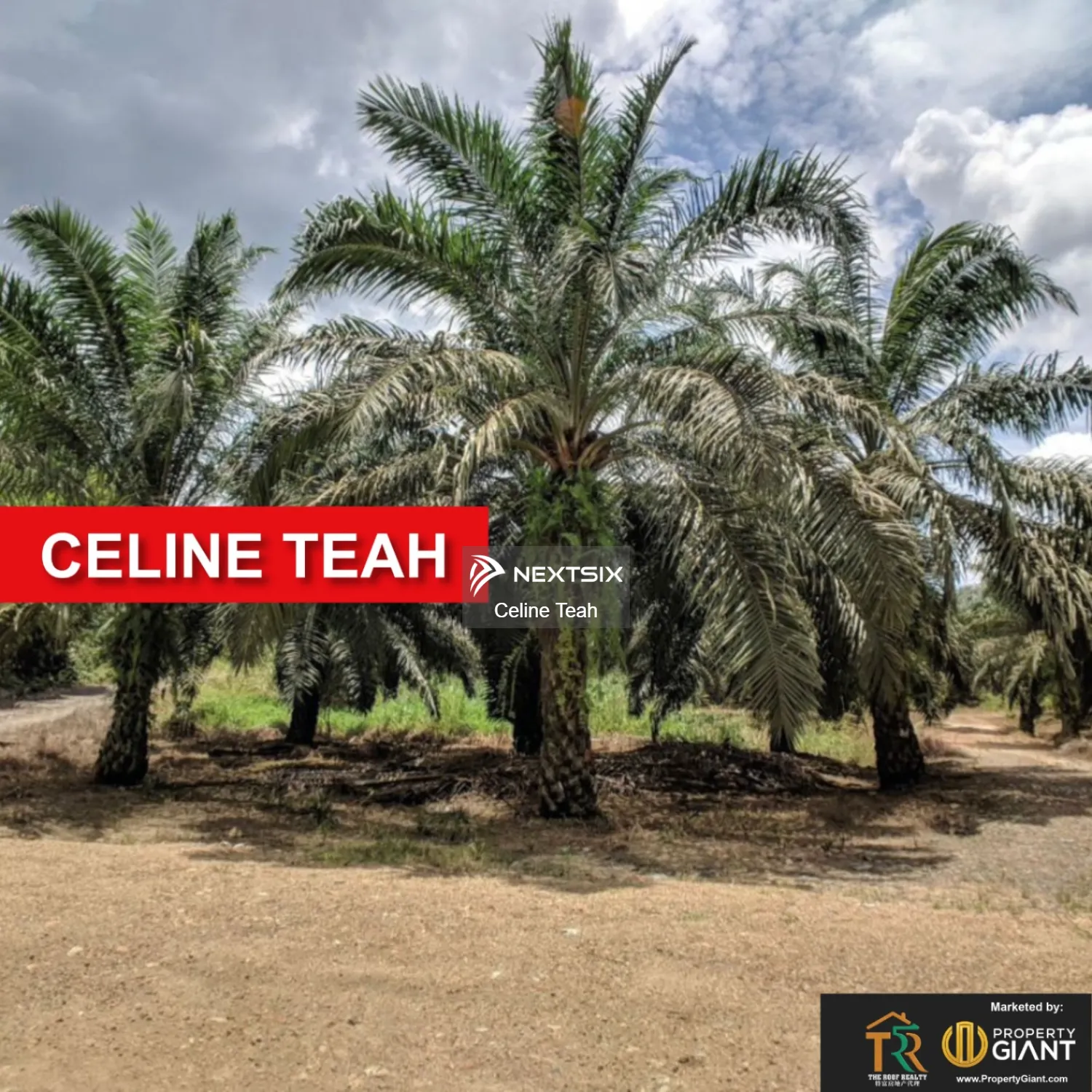 Agricultural Land For Sale in Kota Kinabalu Sabah